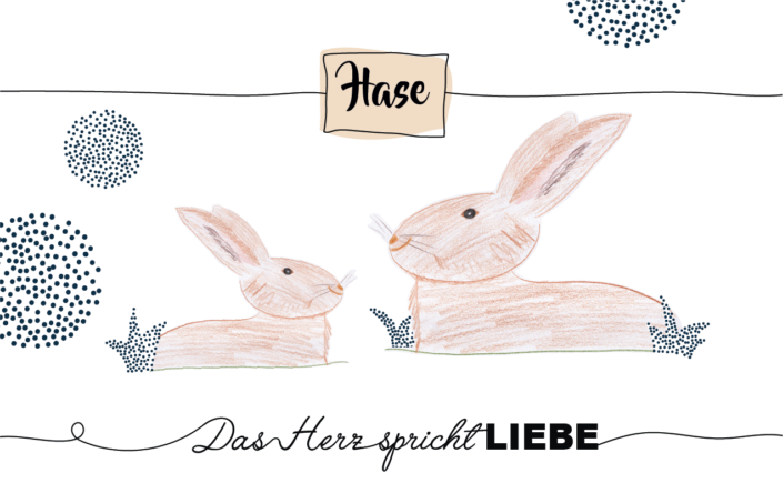 Krafttier Hase