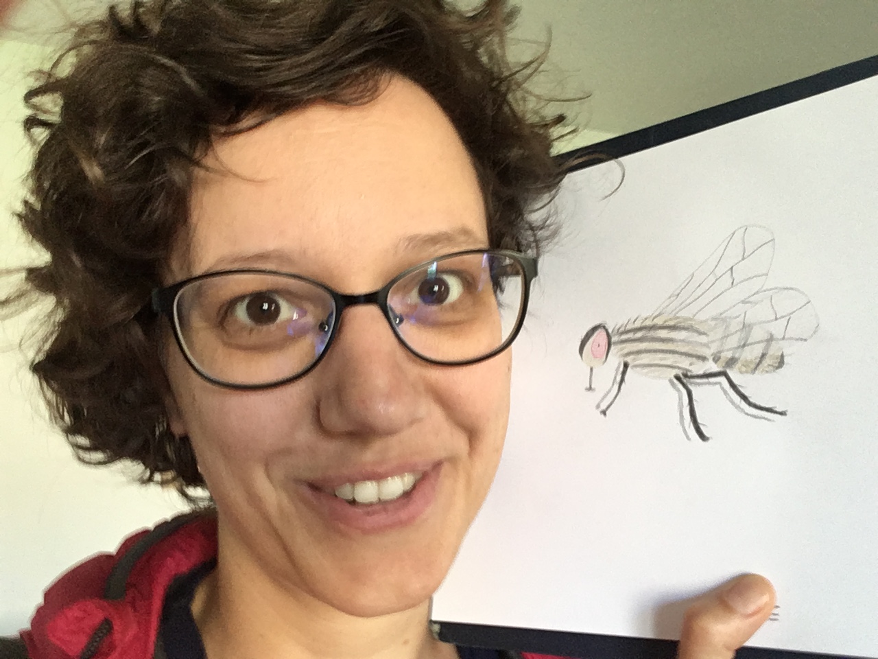 Krafttiere - Originalzeichnung – Bild 3