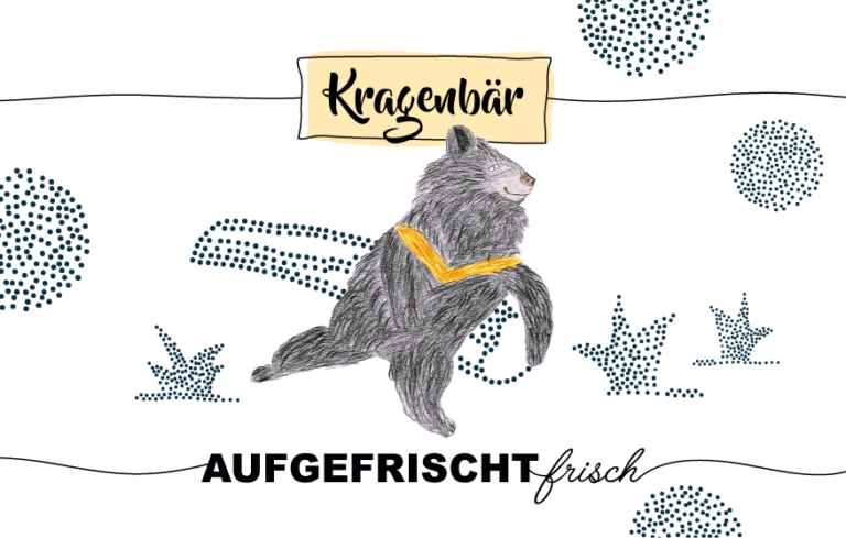 YooHoo Max Kragenbär 20,3 Cm – Schwarz, Aus Der Netflix-Serie, Kuscheliges Stofftier Für Kinder