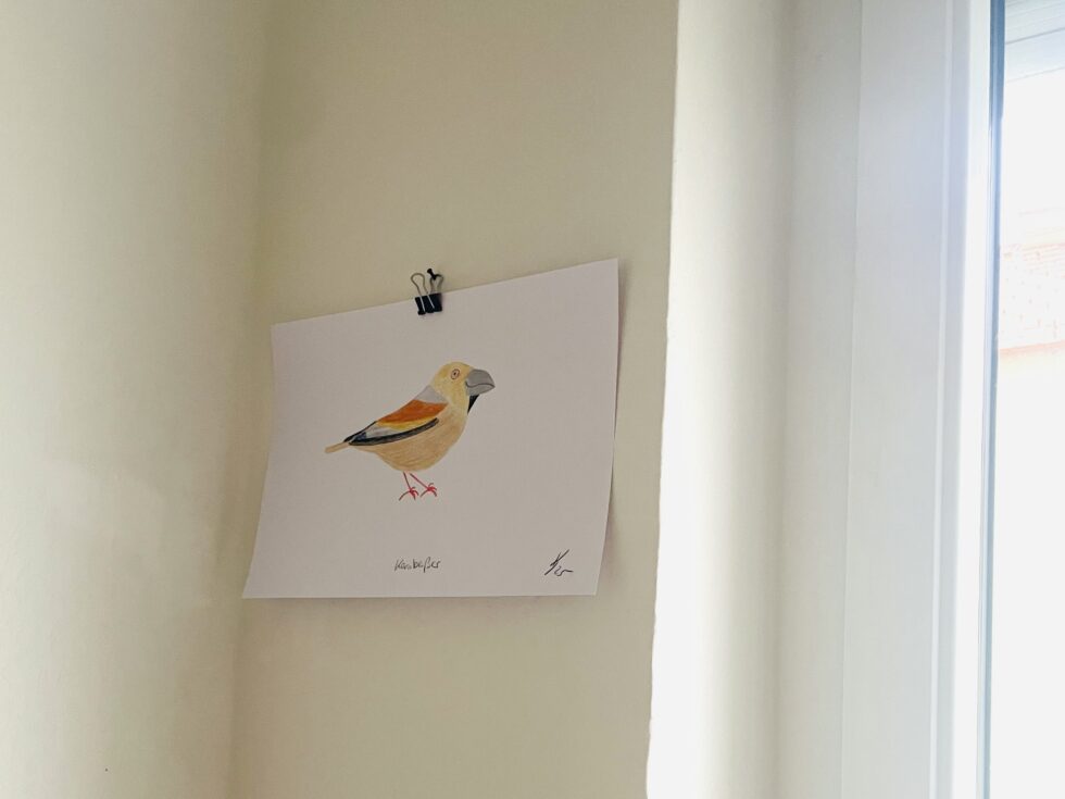 Krafttiere - Originalzeichnung