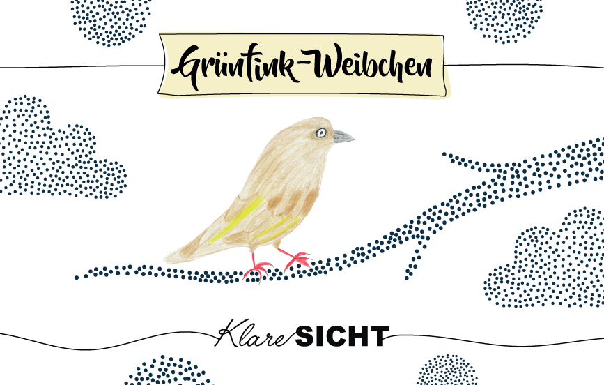 Krafttier Grünfink-Weibchen