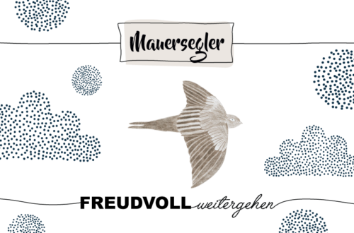 Krafttier Mauersegler