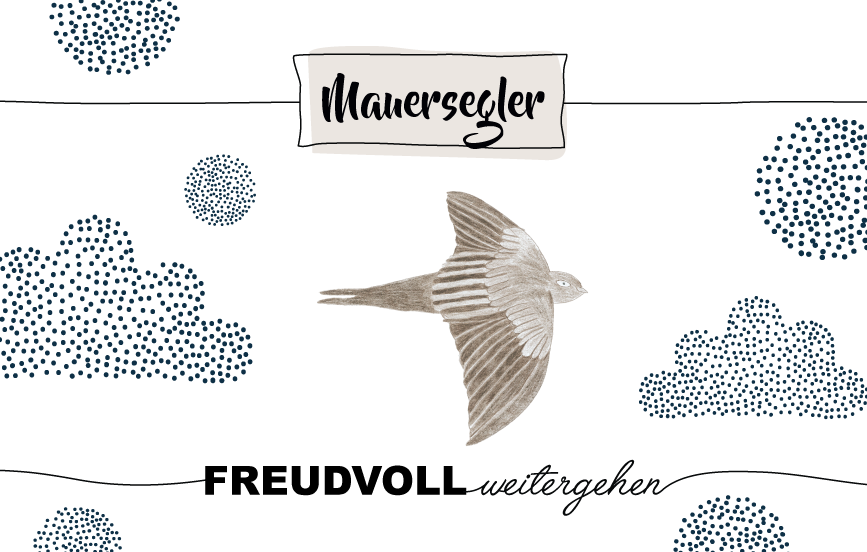 Krafttier Mauersegler