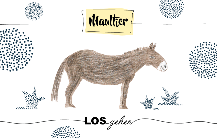 Krafttier Maultier