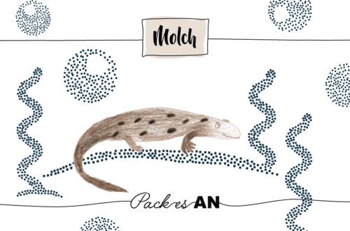Krafttier Molch