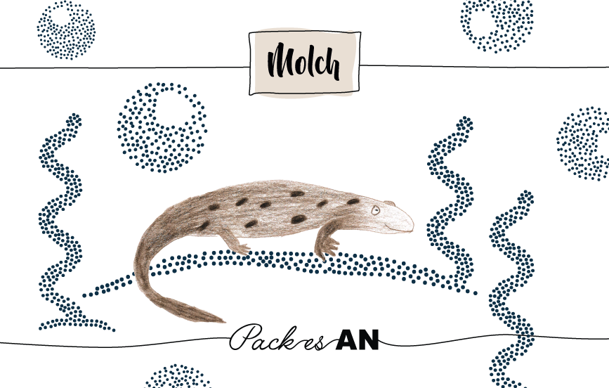 Krafttier Molch