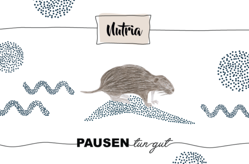 Krafttier Nutria