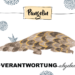 Krafttier Pangolin