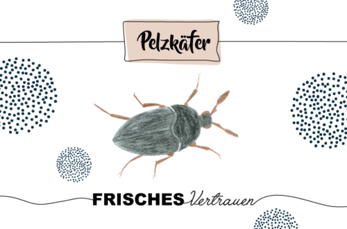 Krafttier Pelzkäfer