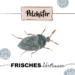 Krafttier Pelzkäfer