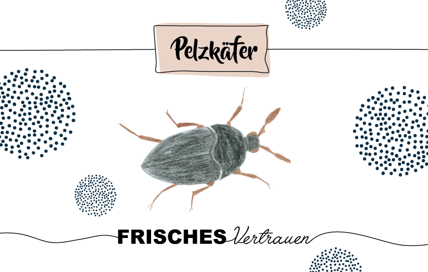 Krafttier Pelzkäfer