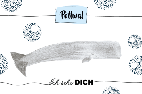 Krafttier Pottwal