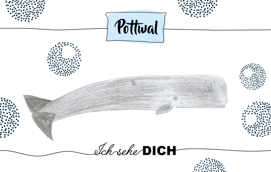 Krafttier Pottwal