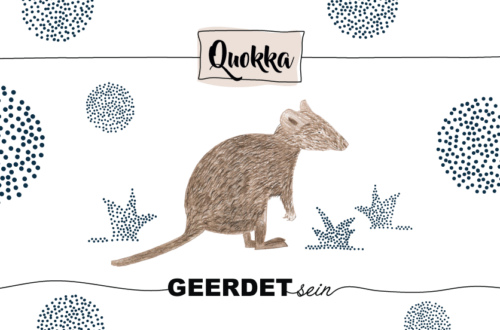 Krafttier Quokka