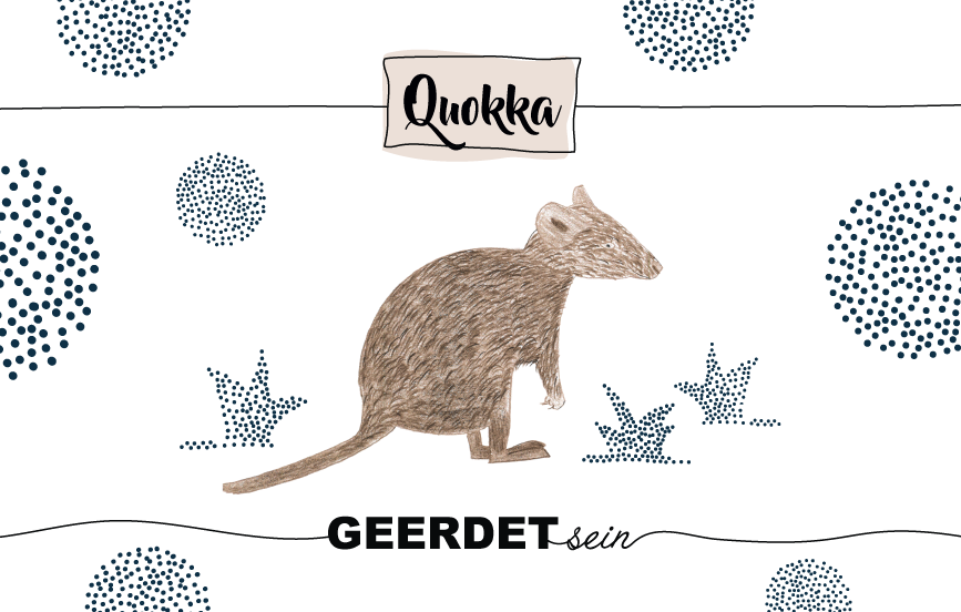 Krafttier Quokka