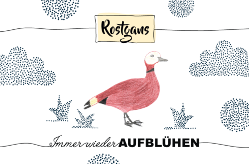 Krafttier Rostgans