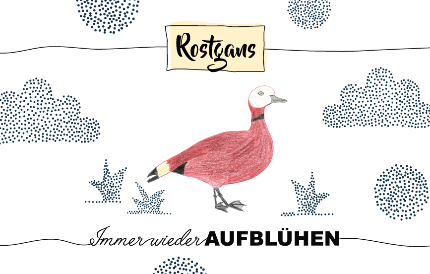 Krafttier Rostgans