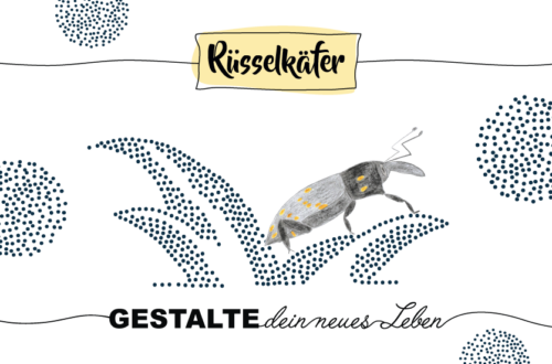 Krafttier Rüsselkäfer