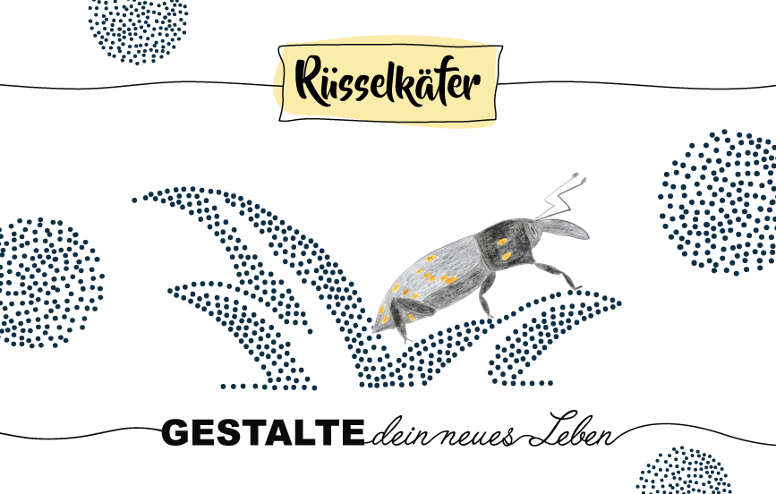 Krafttier Rüsselkäfer