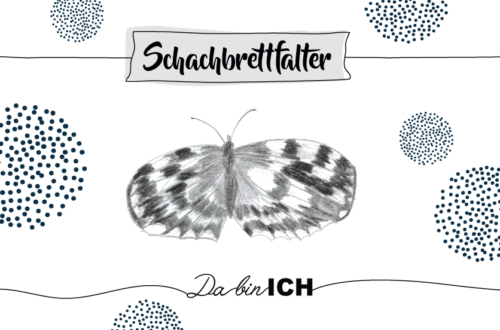 Krafttier Schachbrettfalter