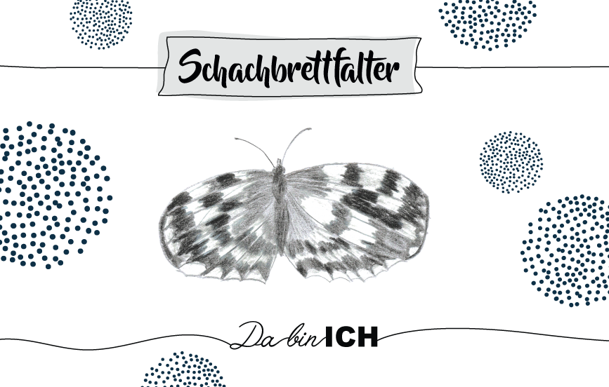 Krafttier Schachbrettfalter