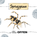 Krafttier Springspinne