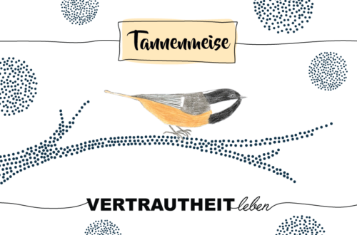Krafttier Tannenmeise