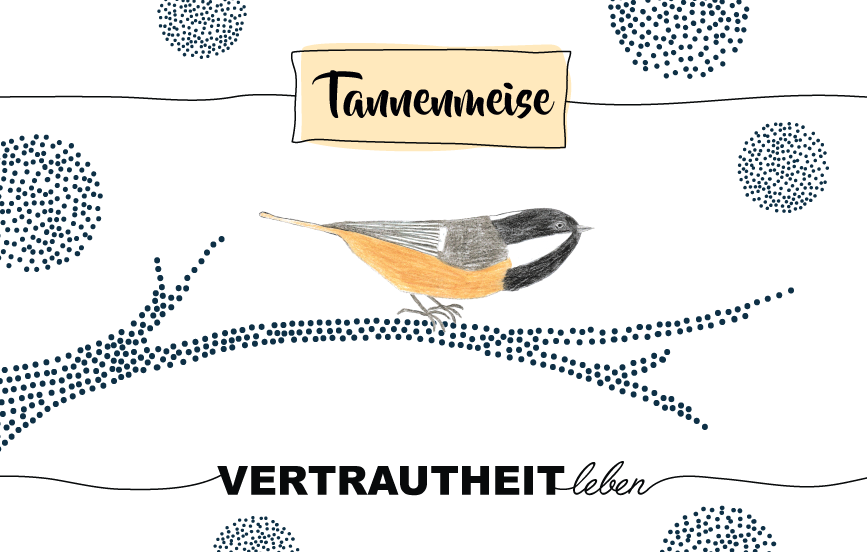 Krafttier Tannenmeise