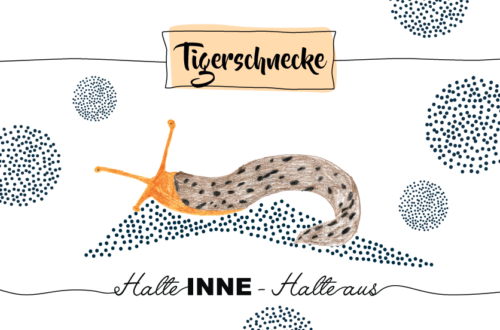 Krafttier Tigerschnecke