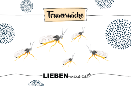Krafttier Trauermücke