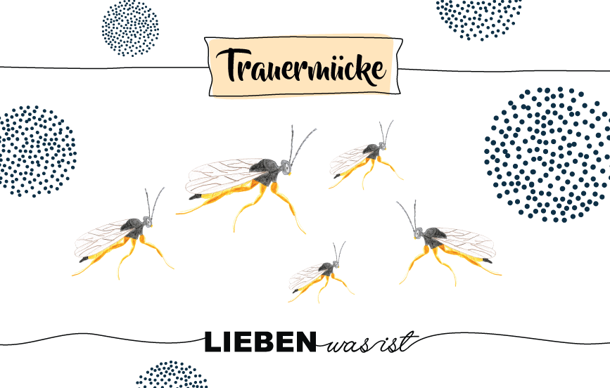 Krafttier Trauermücke