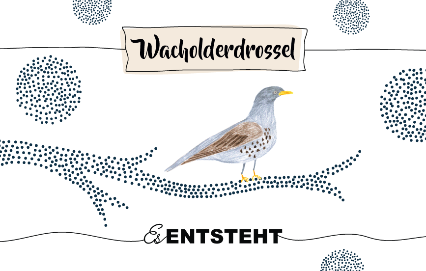 Krafttierkarten: Weite dein SEHEN! (vorbestellen) – Bild 2