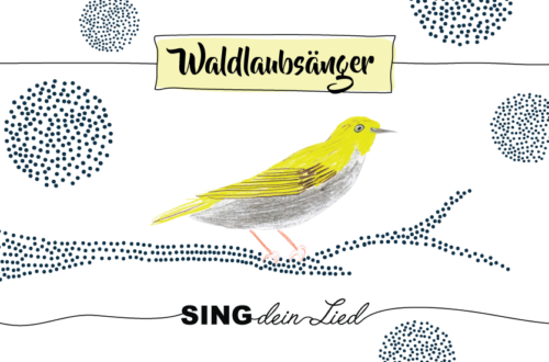 Krafttier Waldlaubsänger
