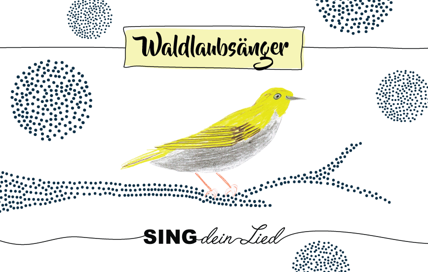 Krafttier Waldlaubsänger