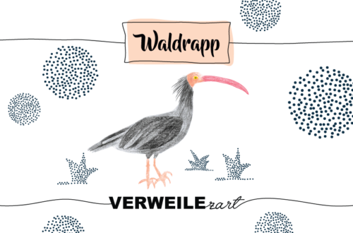 Krafttier Waldrapp