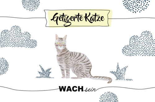Krafttier getigerte Katze