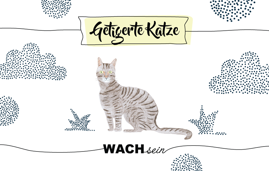 Krafttier getigerte Katze