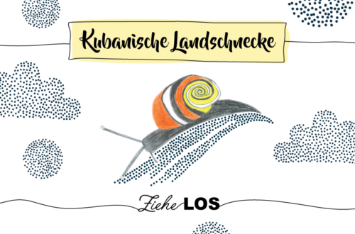 Krafttier kubanische Landschnecke