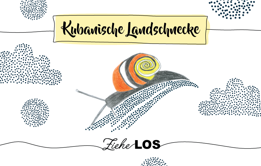 Krafttier kubanische Landschnecke